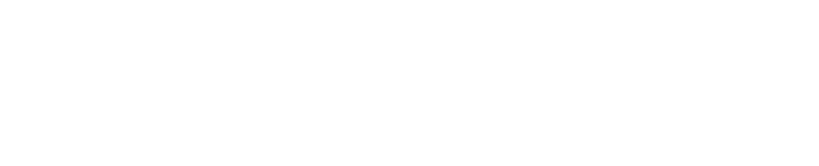 Euro-Solution LTD